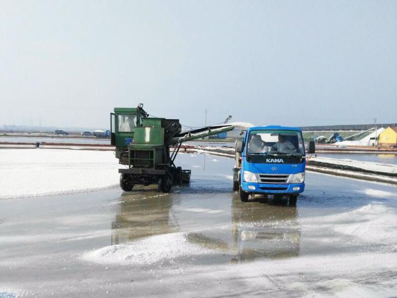 工業鹽基地